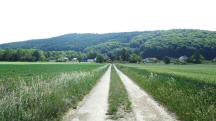  Blick auf die Wanderstrecke 