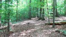  Blick auf die Wanderstrecke auf dem Eichberg 