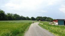  Blick auf die Wanderstrecke nach Reith 