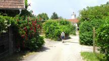  Blick auf die Wanderstrecke in Reith 