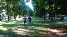  Blick auf die Wanderstrecke in der Lindenallee 