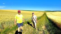  Wanderfreunde auf der Wanderstrecke 