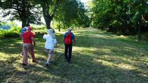  Blick auf die Wanderstrecke in der Lindenallee 