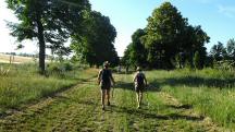  Blick auf die Wanderstrecke in der Lindenallee 