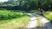  Blick auf die Wanderstrecke 