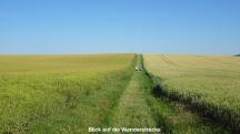  Blick auf die Wanderstrecke 