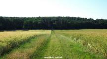  ein Blick zur�ck 