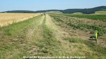 Blick auf die Wanderstrecke in der Riede Wackergrund