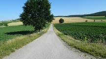  Blick auf die Wanderstrecke 