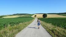  Blick auf die Wanderstrecke 