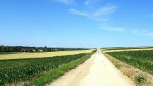  Blick auf die Wanderstrecke 