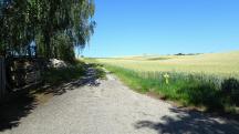  Blick auf die Wanderstrecke kurz auf dem Akazienweg 