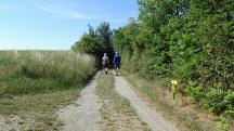  Blick auf die Wanderstrecke 