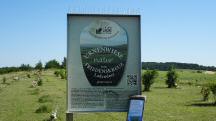  Blick zur Infotafel �ber die Urnenwiese 