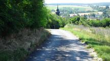 Blick auf die Wanderstrecke auf dem Johann Schusterweg 