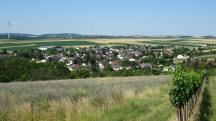  nochmals ein Fernblick nach Ladendorf 