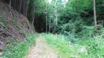  Wanderroute durch den Eselsteiggraben 