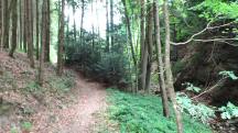  Wanderroute durch den Eselsteiggraben 