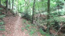  Wanderroute durch den Eselsteiggraben 