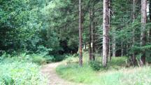  Blick auf die Wanderstrecke 