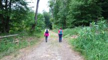  Blick auf die Wanderstrecke 