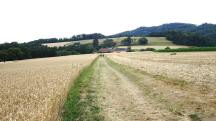  Blick auf die Wanderstrecke 