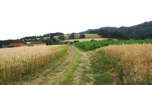  Blick auf die Wanderstrecke 