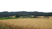  Fernblick zum Schloss Weichselbach (ehem. Gutshof) 