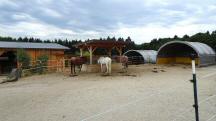  ein sch�nes Bild 