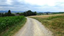  Blick auf die Wanderstrecke 