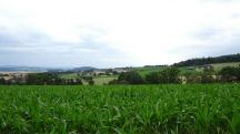  Fernblick zum Weiler Sch�nbuch 