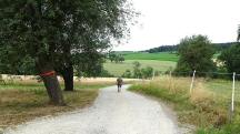 Blick auf die Wanderstrecke beim Weiler Kleinweichselbach 