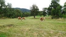 ein sch�nes Bild 