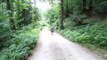 Blick auf die Wanderstrecke 