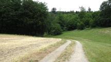  Blick auf die Wanderstrecke 