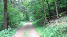  Blick auf die Wanderstrecke 
