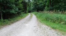  Blick auf die Wanderstrecke 