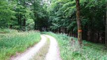  Blick auf die Wanderstrecke 