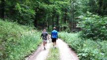  Blick auf die Wanderstrecke 