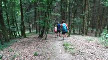  Blick auf die Wanderstrecke 