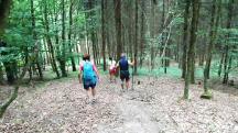  Blick auf die Wanderstrecke 