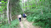  Blick auf die Wanderstrecke 