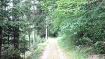  Blick auf die Wanderstrecke 