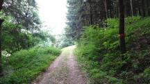  Blick auf die Wanderstrecke 