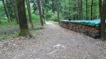  Blick auf die Wanderstrecke 