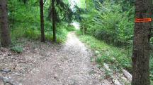  Blick auf die Wanderstrecke 