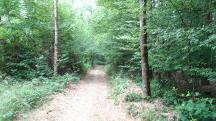  Blick auf die Wanderstrecke 