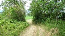  Blick auf die Wanderstrecke 