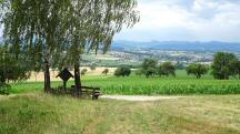 Blick auf die Wanderstrecke - wieder beim bekannten Wanderweg