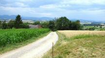  Blick auf die schon bekannte Wanderstrecke 